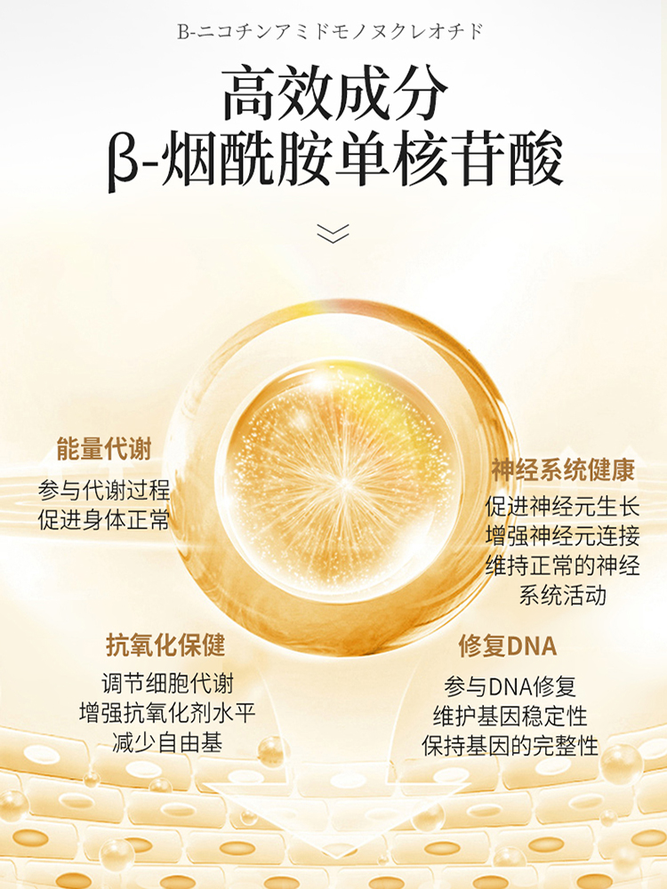 DNA修复机制