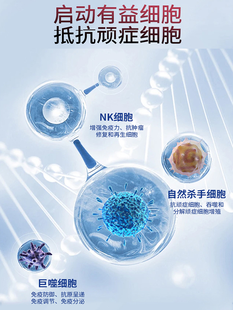 NK细胞免疫机制